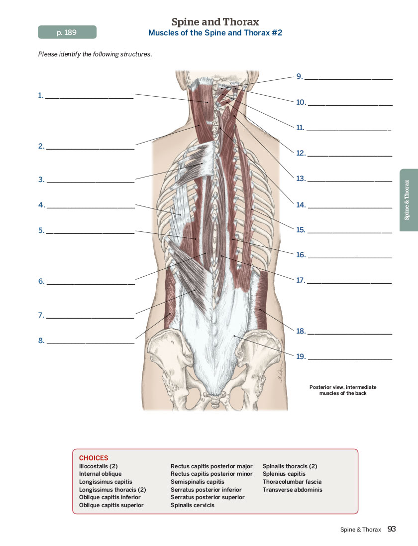 Trail Guide to the Body Essentials - Image 6