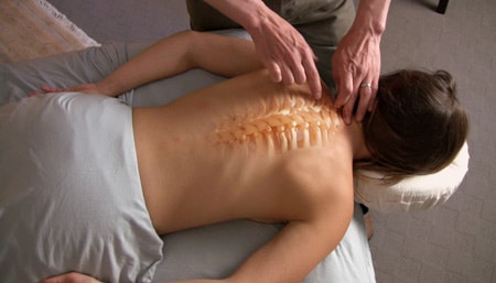 Trail Guide to the Body Palpation Guide to 91 Muscles (streaming video only) - Image 3