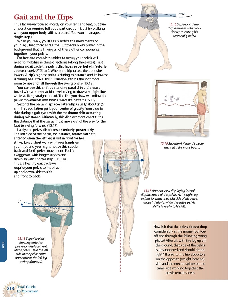Trail Guide to Movement, 2nd Edition, eTextbook - Image 7