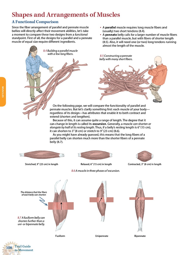 Trail Guide to Movement, 2nd Edition, eTextbook - Image 6