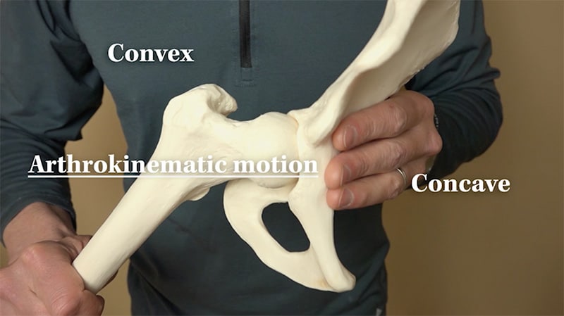 Trail Guide to Movement Video Series (streaming video) - Image 2