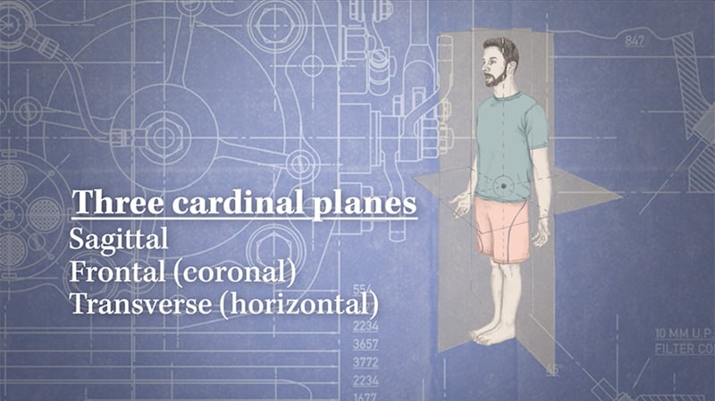 Trail Guide to Movement Video Series (streaming video) - Image 3