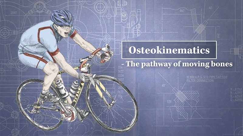 Trail Guide to Movement Video Series (streaming video) - Image 4