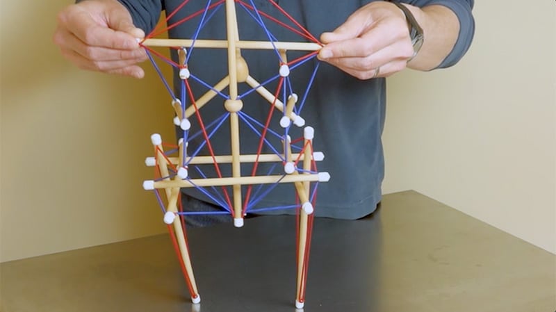 Trail Guide to Movement Video Series (streaming video) - Image 5