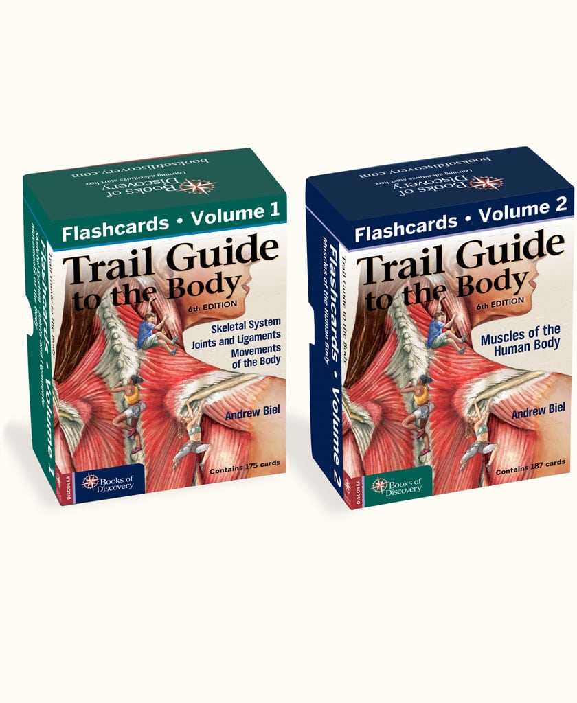 840x1024-Flashcards Trail Guide to the Body Flashcards, 6th Edition, Complete Set