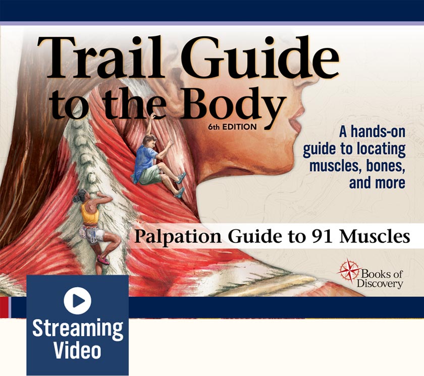 videa-TGBpalp Trail Guide To The Body