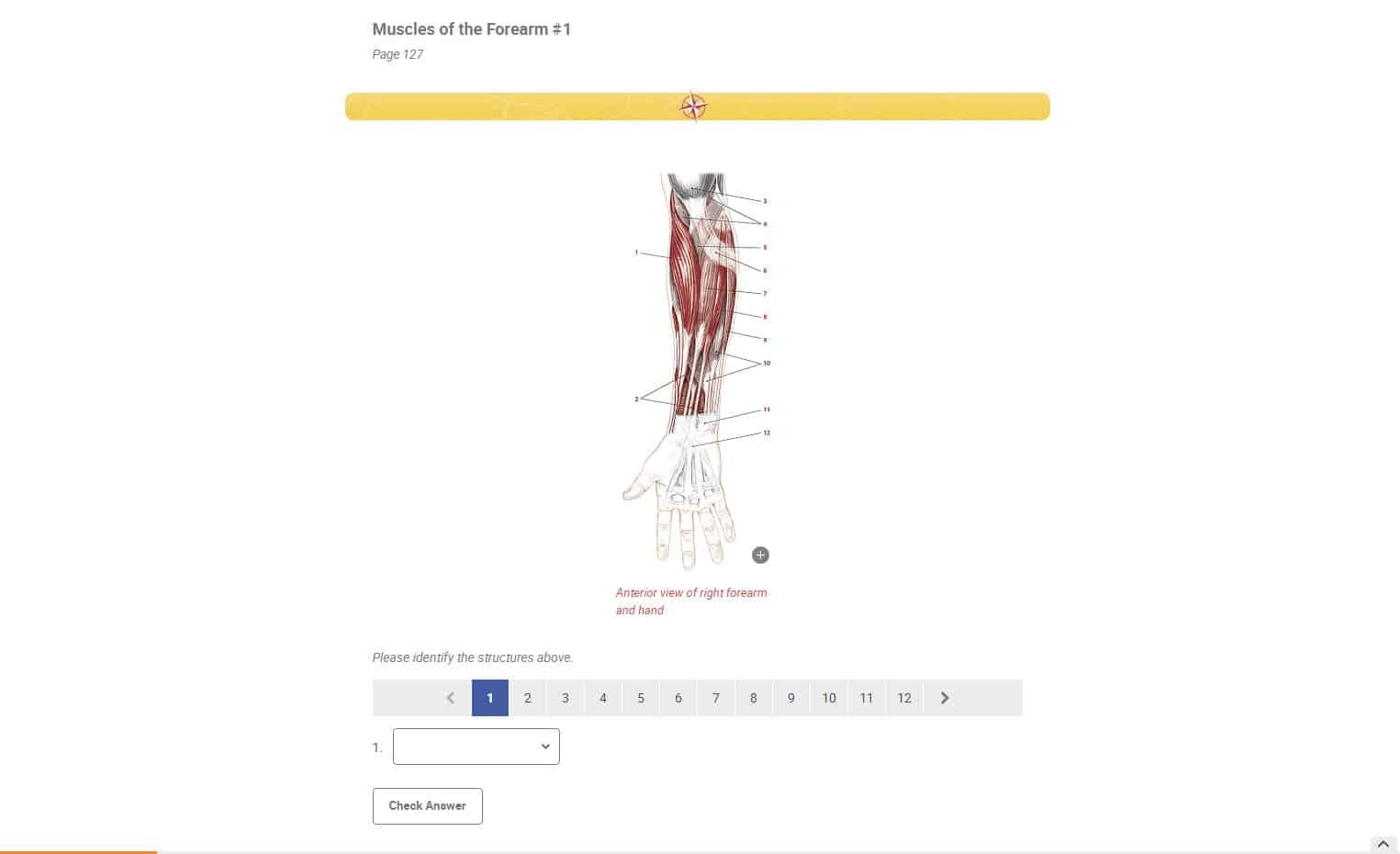 Trail Guide to the Body, 6th Edition, Digital Student Workbook - Image 5