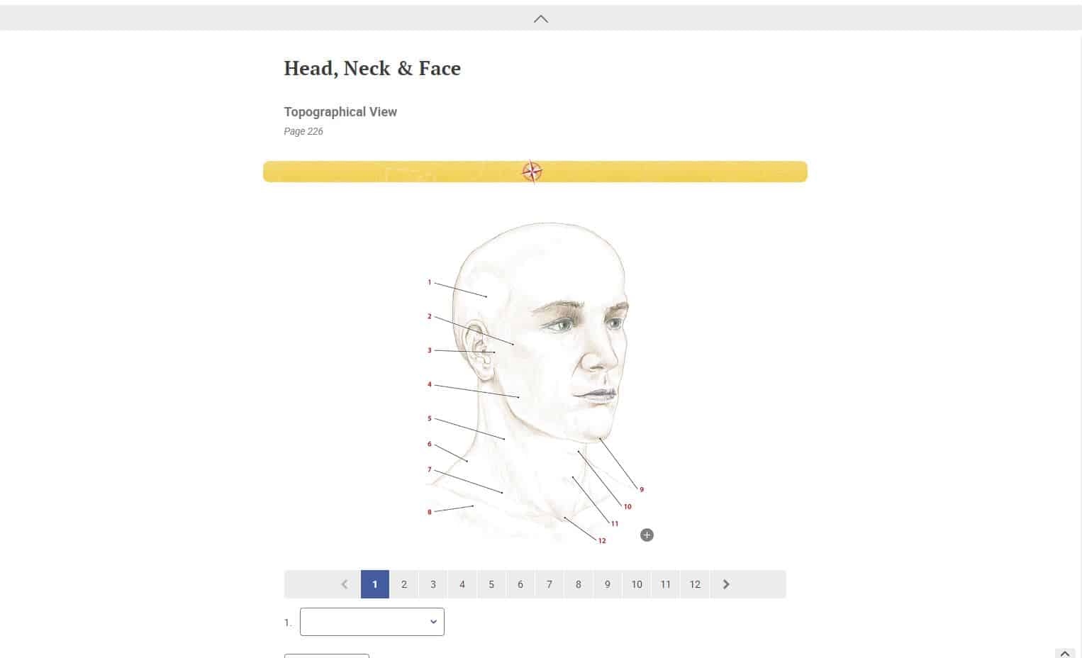 Trail Guide to the Body, 6th Edition, Digital Student Workbook - Image 4