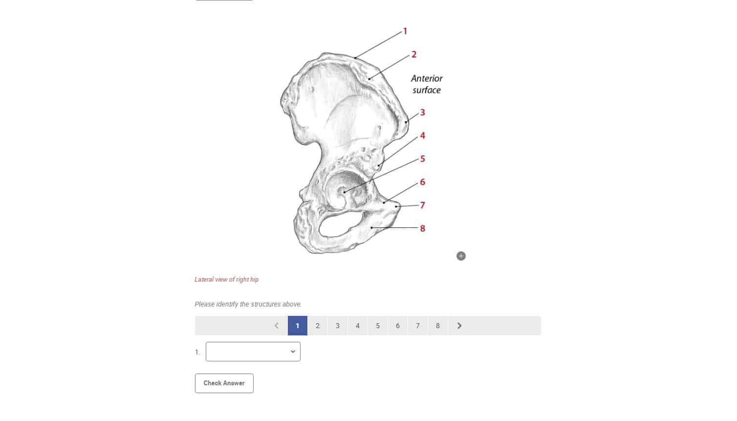 Trail Guide to the Body, 6th Edition, Digital Student Workbook - Image 2