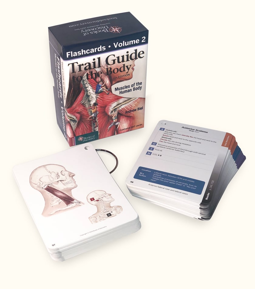 FC2vert Trail Guide to the Body Flashcards, 6th Edition, Volume 1