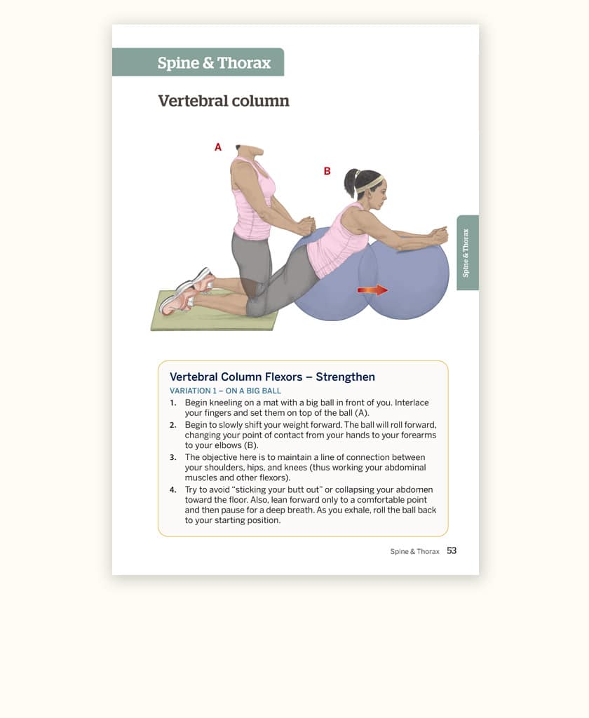 Trail Guide to the Body's Quick Reference to Stretch and Strengthen eTextbook - Image 3