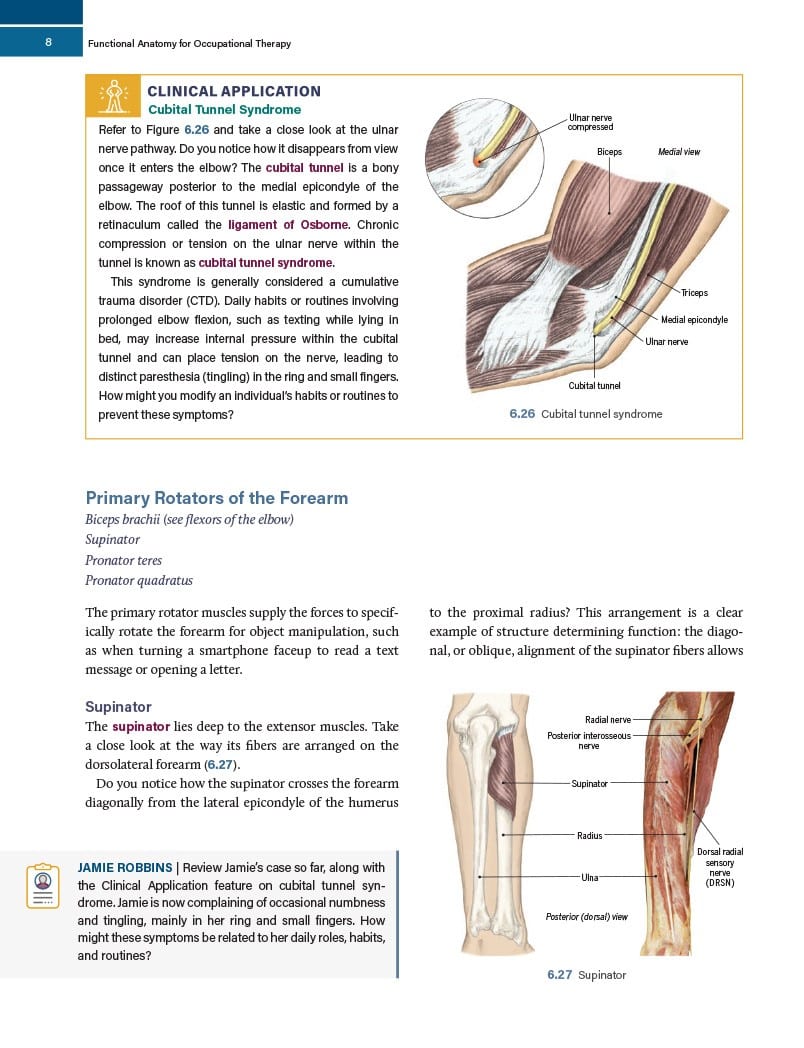 Functional Anatomy for Occupational Therapy - Image 6