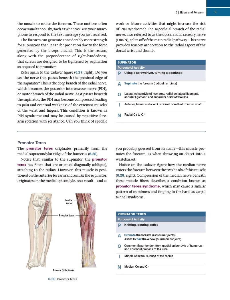 Functional Anatomy for Occupational Therapy - Image 7
