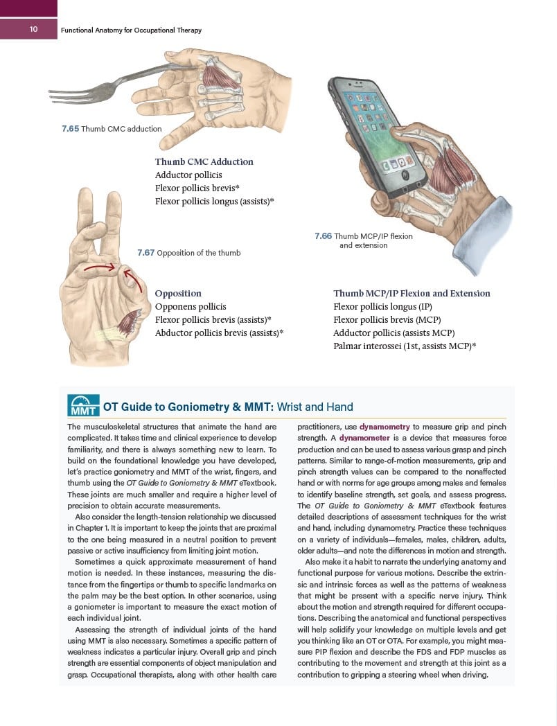 Functional Anatomy for Occupational Therapy - Image 8